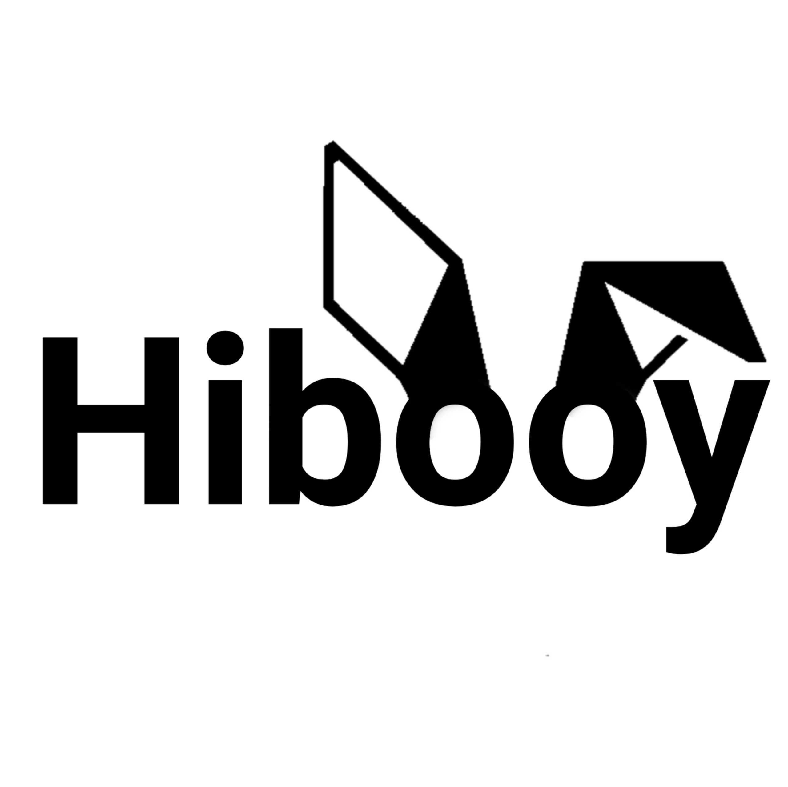 hibooy.com